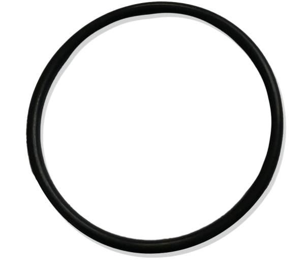 O-Ring 25x1,5 Viton